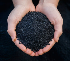 Two Hands Holding Granulated Activated Coconut Charcoal